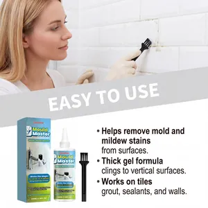 Vista dettagliata del gel detergente antimuffa Jakehoe con spazzola su piastrelle.