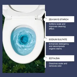 Détail montrant les ingrédients du nettoyant WC comme le sulfate de sodium et l'eau bleue