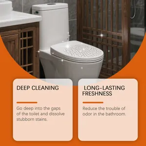 Effective toilet cleaning tablets dissolving stubborn stains with long-lasting mint freshness