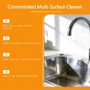Détail du nettoyant multi-surfaces concentré montrant un évier de cuisine brillant