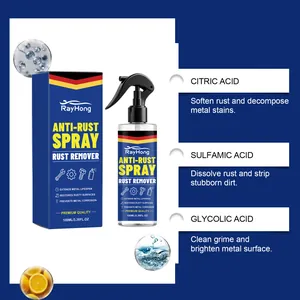 RayHong 100ml anti-rust spray showing citric and sulfamic acid ingredients for metal cleaning