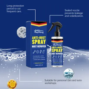 RayHong Anti-Rust Spray details showing sealed nozzle and long-lasting car protection.