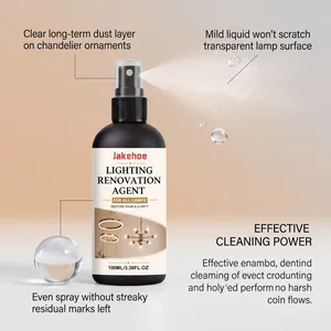 Detail view of Lighting Renovation Agent spray bottle with effective cleaning power.