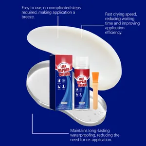 Transparent leak repair cream kit with applicator brush for multi-surface sealing