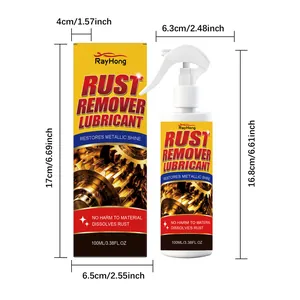 Spray lubrificante antiruggine RayHong 100ml con scatola e dimensioni dettagliate mostrate