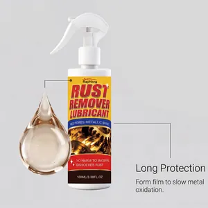 RayHong spray lubrificante antiruggine 100ml per la protezione e il rinnovo del metallo