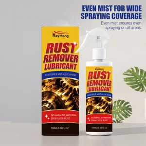 Spray lubrificante antiruggine multiuso RAYHONG per la pulizia e il restauro dei metalli