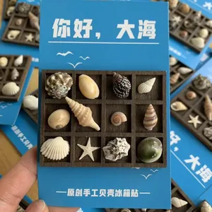 Close-up of handmade shell fridge magnet set with real sea shells in wooden grid