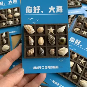 Handmade natural sea shell refrigerator magnets presented in a creative wooden grid box