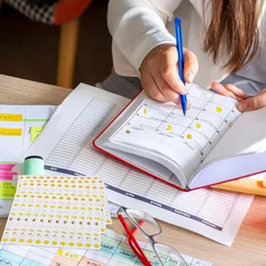Primer plano de lindas mini pegatinas de clima y caritas en una agenda personal