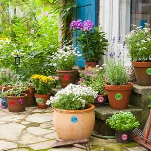 Detalle de etiquetas de precios redondas y coloridas aplicadas en macetas de flores
