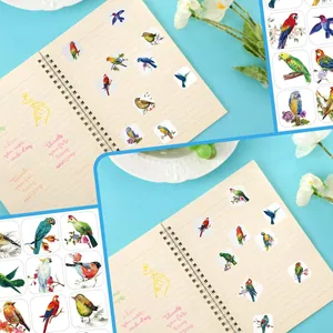 Detailed view of colorful hummingbird bird stickers applied on a spiral notebook