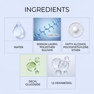 Detail graphic showing air conditioner spray ingredients like Decyl Glucoside and Water