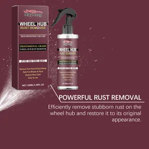 RayHong car wheel hub rust remover spray bottle and packaging for auto cleaning