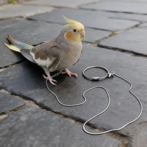 Duurzame roestvrijstalen vogelriem met voetketting voor valkparkieten buitentraining