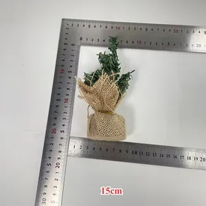 Detail view of a 15cm miniature Christmas tree with burlap base and rulers