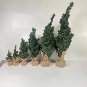 Six green mini Christmas trees in varying heights with rustic burlap-wrapped bases