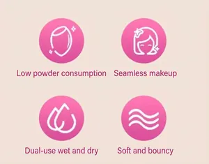 Feature guide for makeup sponges: non-absorbent, dual-use, soft texture for seamless application.