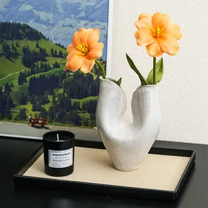Artistic Nordic white minimalist ceramic vase with organic shape for modern home decor