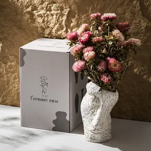 Europäischer Stil Abstraktes Gesicht Keramik Vase Weiß Künstlerisch Tischschmuck Wohnzimmer Blumentopf Mit Geschenkbox