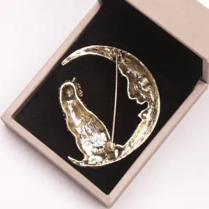 Détail de la vue arrière d'une broche chat et lune en alliage dans son coffret