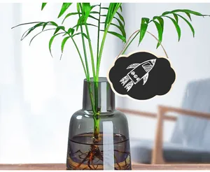 Pendaglio decorativo per mini lavagna in legno a forma di nuvola appeso a una pianta di casa