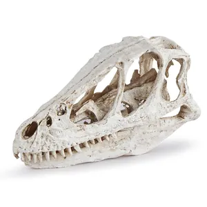 Realistisches Dinosaurier-Skelett aus Harz als Dekoration für Aquarien und Terrarien