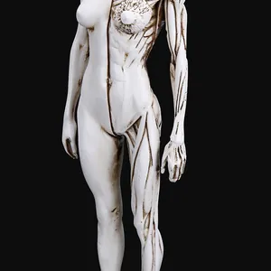 Macro view of female anatomical figurine showing detailed muscle and skin structure