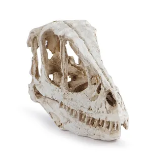 Simulation Dinosaurier Schädel Fossil Harz Deinonychus Skelett Kopf Figur Aquarium Landschaftsbau Ornament Reptilien Versteck Höhle Dekoration