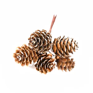 Natural snow-tipped pine cones for Christmas DIY wreaths and festive tree decorations