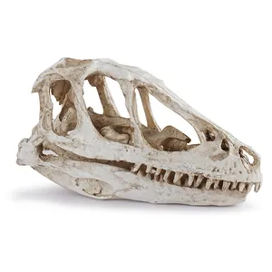 Detaillierte realistische Textur der Dinosaurierschädel-Aquarium-Dekoration aus Harz