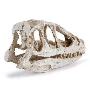 Detaillierte Textur eines realistischen Dinosaurier-Schädels für die Aquarien-Dekoration