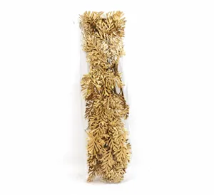 Detail view of sixty pieces of golden artificial fern leaves in clear plastic packaging