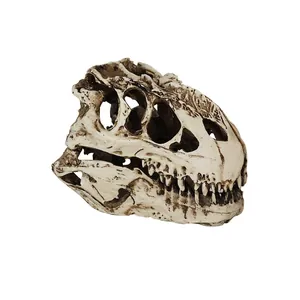 Detalle del cráneo realista de T-Rex en resina para decoración de acuarios