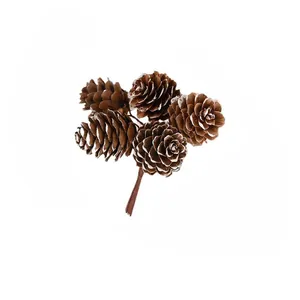 Detailed view of natural pine cones with white snow tips for festive Christmas decor.