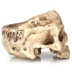 Modello di teschio in resina intagliata con trama ossea antica per decoro