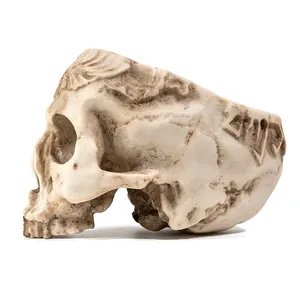 Dettaglio laterale di un teschio umano in resina intagliata con motivi tribali intricati.