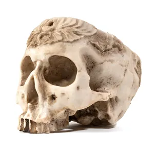 Replica dettagliata di teschio umano in resina con intagli per decorazioni