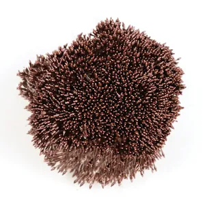 Makro-Detail von braunen perlmuttfarbenen Blütenstempel für künstliche Blumen DIY