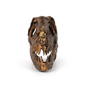 Detailed front view of a bronze-finished resin dinosaur skull model skeleton ornament.