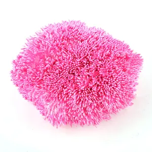 Nahaufnahme von 1 mm pinkfarbenen Perlmutt-Blütenstempeln für die Blumenherstellung.