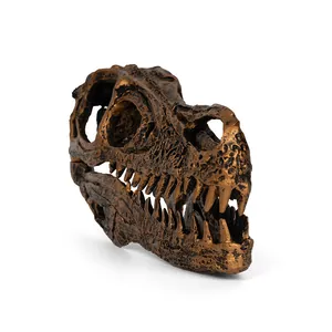 Side view of a vintage bronze-finished resin Velociraptor dinosaur skull model skeleton.
