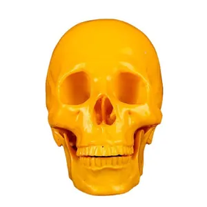 Realistic Resin Human Skull Model Halloween Party Bar Decoration Ornament Medical Teaching Simulation Skull Figurine