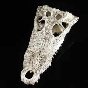 Detaillierte Makroansicht des Harz-Krokodilschädels für Aquariendekoration und Verstecke