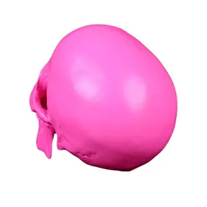 Detailed side view of a hot pink resin human skull model for medical anatomy study