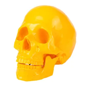 Close-up detail of a bright yellow resin human skull model for Halloween bar decor