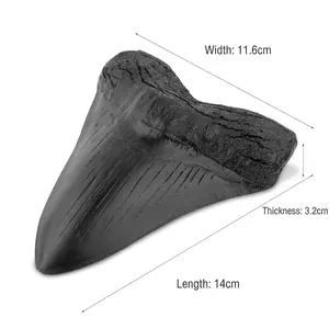 Abmessungen der 14 cm großen Megalodon-Haifischzahn-Fossil-Nachbildung aus Harz