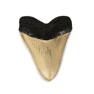 Replica Fossile di Dente di Squalo Megalodonte Retro Ornamento in Resina Decorazione da Tavolo Casa Ufficio Artigianato
