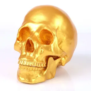 Detailed view of a golden resin skull model with anatomical textures for medical reference.