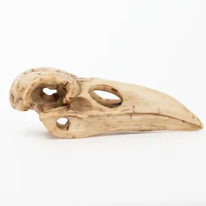 Gedetailleerde hars kraaienschedel replica voor gothic decor of sieraad hanger DIY